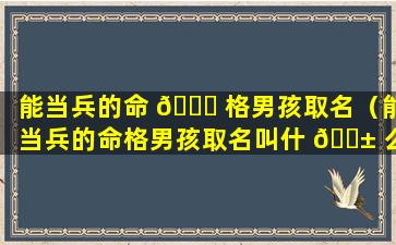 能当兵的命 🐘 格男孩取名（能当兵的命格男孩取名叫什 🐱 么）